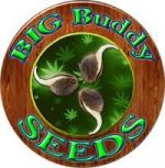 Logo Big Buddy Seeds