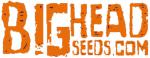 Logo Big Head Seeds