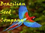 Logo Brazilian Seed Company