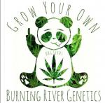 Logo Burning River Genetics