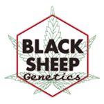 Logo Black Sheep Genetics