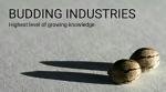Logo Budding Industries