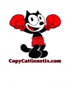 Logo Copycat Genetix