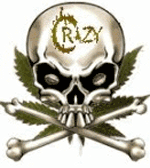 Logo Crazy X Seeds