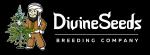 Logo Divine Seeds