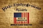 Logo Dixie Underground Blends