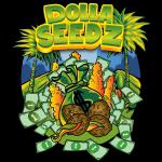 Logo Dolla Seedz