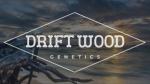 Logo Driftwood Genetics