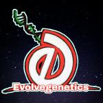 Logo Evolve Genetics