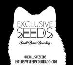 Logo Exclusive Seeds