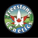 Logo Freestone Genetics