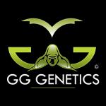 Logo GG Genetics