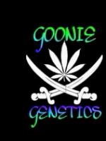 Logo Goonie Genetics