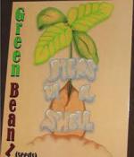 Logo Green Beanz Seeds