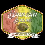 Logo Hawaiian Budline