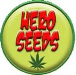 Logo Hero Seeds