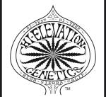Logo Hi-Elevation Genetics