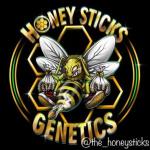 Logo Honey Sticks Genetics