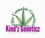 Logo Kind'z Geneticz