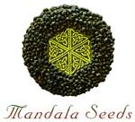Logo Mandala Seeds