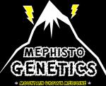 Logo Mephisto Genetics