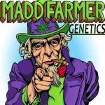 Logo Madd Farmer Genetics