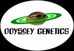 Logo Odyssey Genetics