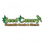 Logo Seed Canary
