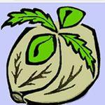 Logo Southern Humboldt Seeds Collective