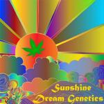 Logo Sunshine Dream Genetics