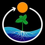 Logo TreeTown Seeds