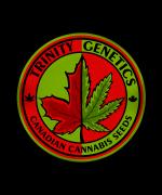 Logo Trinity Genetics