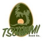 Logo Tsunami Seed Co