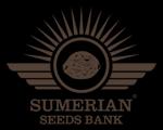 Logo Sumerian Seeds Bank
