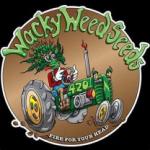Logo Wacky Weed Seeds