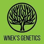 Logo Wnek's Genetics