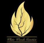 Logo White Woods Genetics