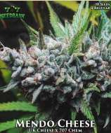 707 Seed Bank Mendo Cheese