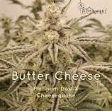 A.B. Seed Company Butter Cheese