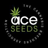 ACE Seeds Green Haze x Malawi