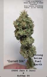 Alight For Health / Alight Farms Garnett Silk