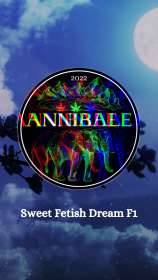 Annibale Genetics Sweet Fetish Dream