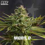 Moby-D