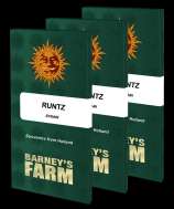 Barneys Farm Runtz