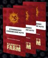 Barneys Farm Strawberry Cheesecake Auto