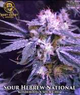 Best Coast Genetics Sour Hebrew National