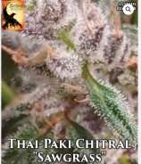 Blackbird Preservations Thai-Paki Chitral - Sawgrass
