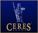 Ceres Seeds Hollands Hope