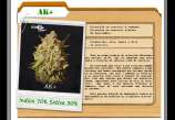 D+Calidad Seeds Ak+