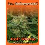 Dr. Underground Hell Stone